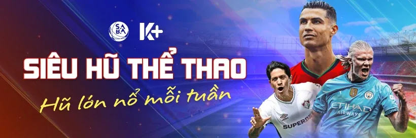 Tổng quan về QQ8